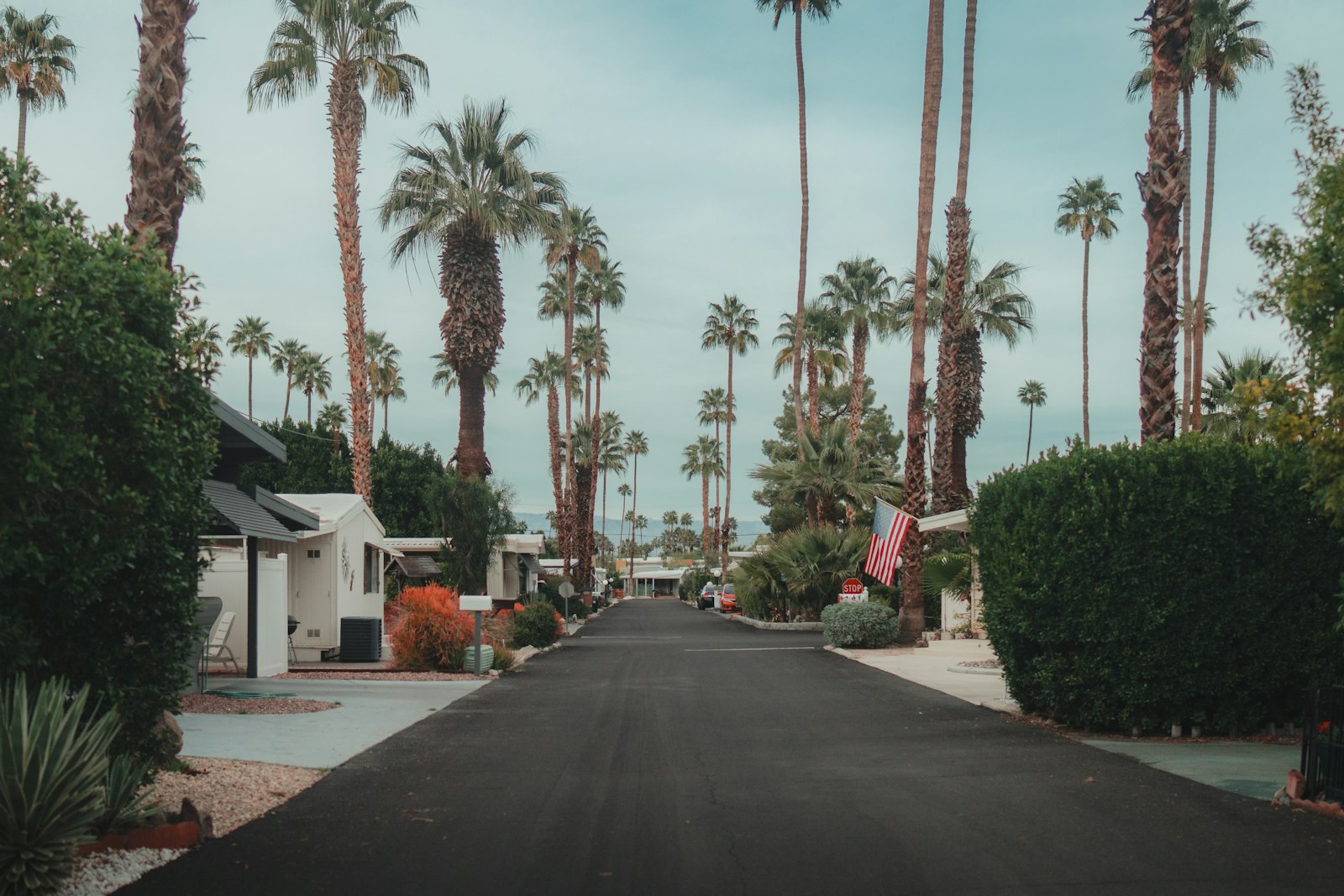 A palm-lined Tampa Bay neighborhood street we work in.
